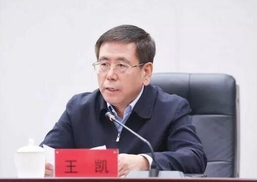 王凯当选河南省长