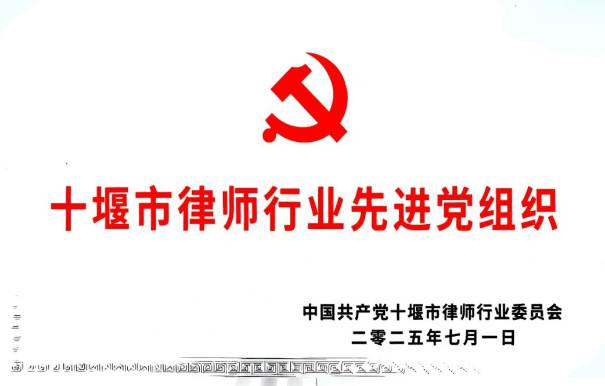 湖北三丰律师事务所： 党建铸魂守初心 专业为民勇担当
