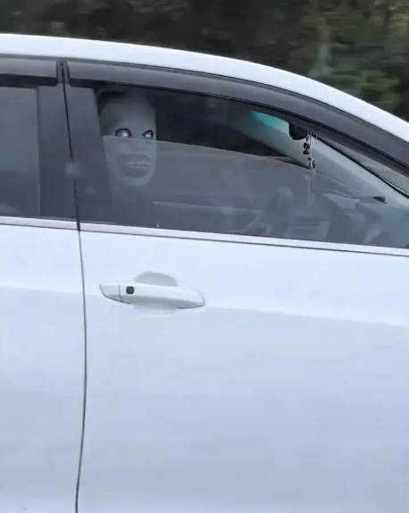 高速公路上戴面具吓人？交警已介入调查