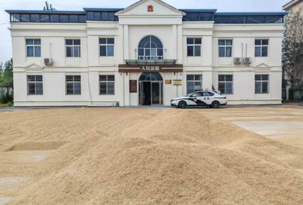 光山马畈法庭开放大院助农晒粮 延伸司法服务传递法治温度