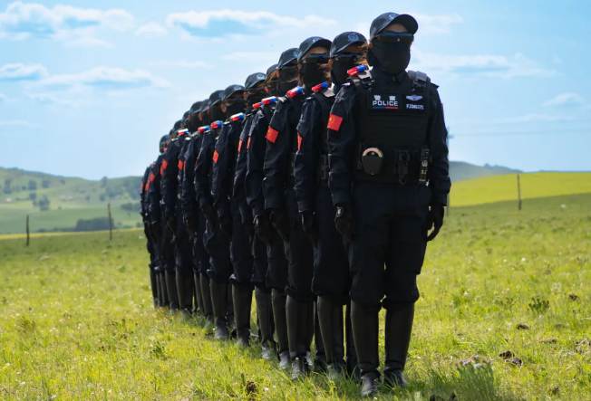 克什克腾旗“铁蹄马”骑警队：驰骋乌兰布统，守护草原安宁