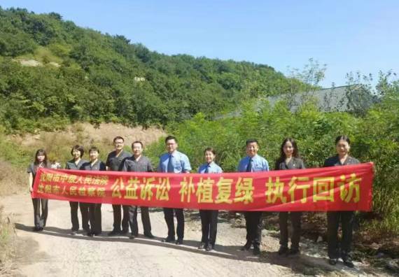 沈阳中院联合多部门开展生态修复执行回访 以司法合力守护国家公益林 沈阳中院联合多部门开展生态修复执行回访 以司法合力守护国家公益林
