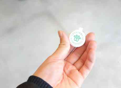 宜兴推行电子犬牌“一站式”办证：家门口搞定，已发放超3.7万枚